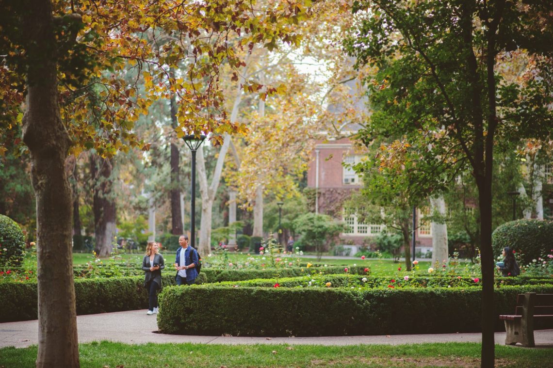 Students walking through a campus rose garden